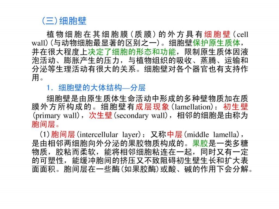 植物的细胞和组织.ppt_第2页