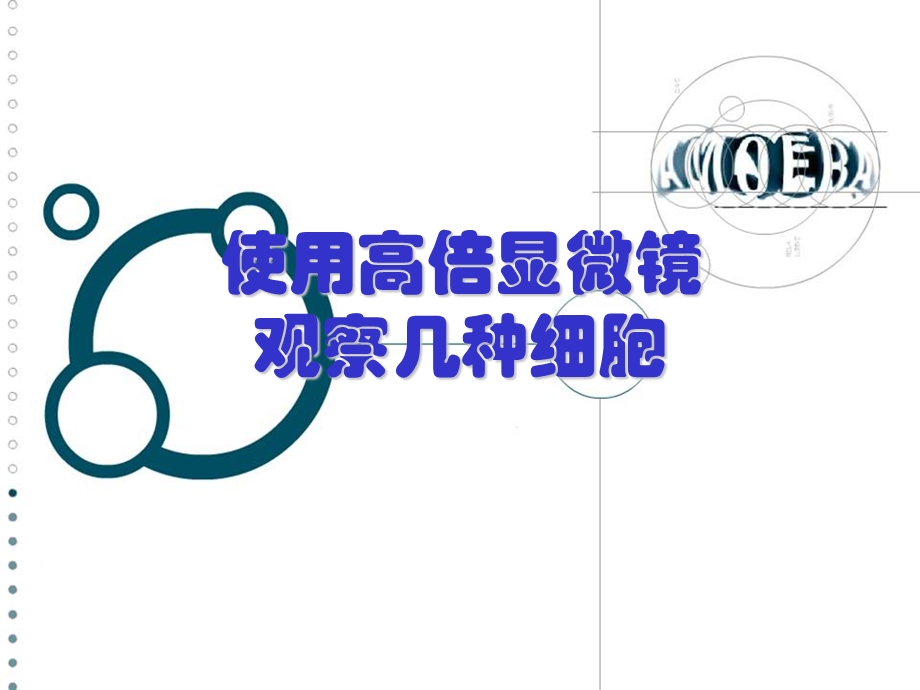 使用显微镜观察几种细胞.ppt_第1页