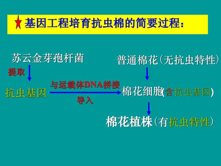 目的基因的获取课件实用.ppt_第3页