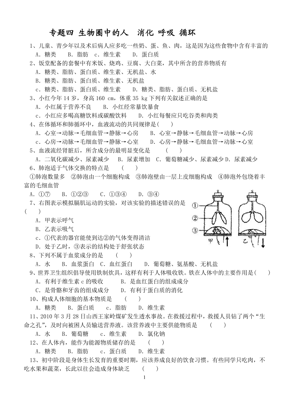 练习专题四生物圈中的人消化呼吸循环.doc_第1页