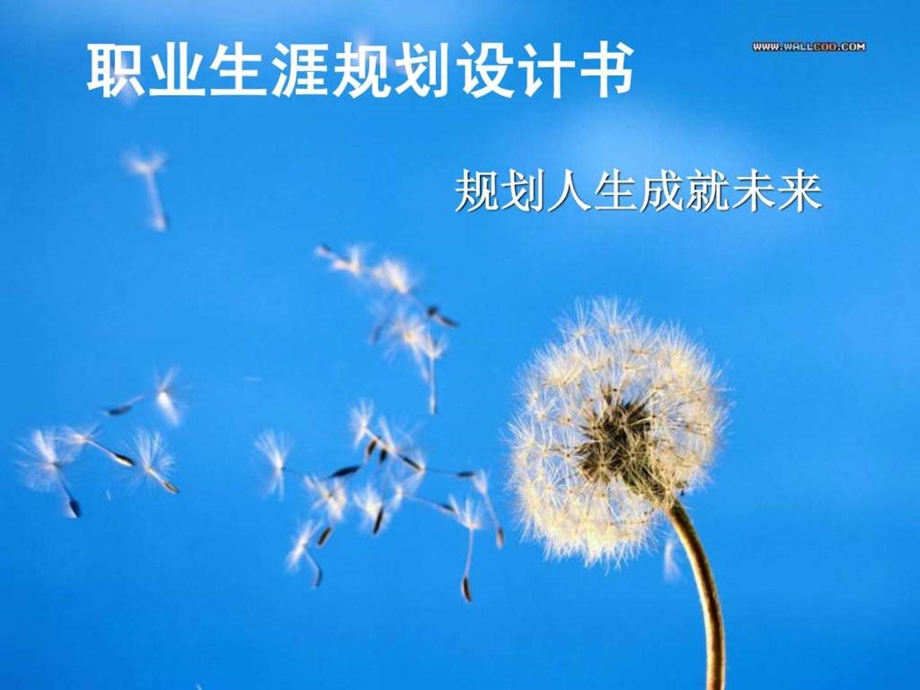 大学生职业规划ppt图文.ppt.ppt_第1页