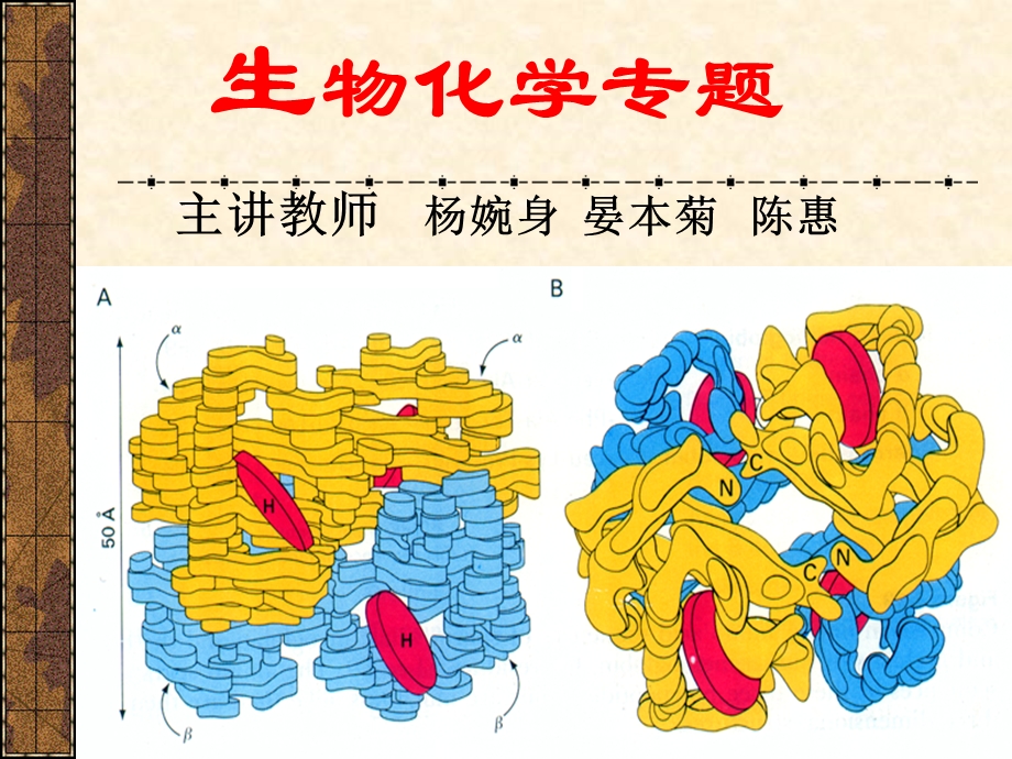 蛋白质组学及其研究进展.ppt_第3页