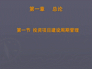 raci公司投资项目管理及案例分析.ppt