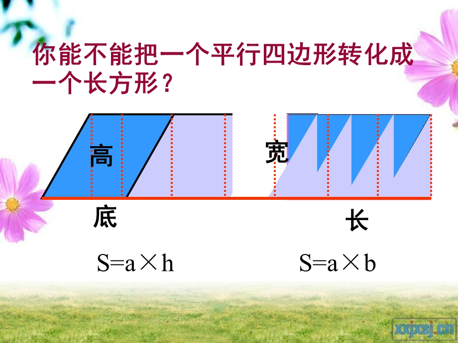 多边形面积的整理和复习蔡蓓.ppt_第3页