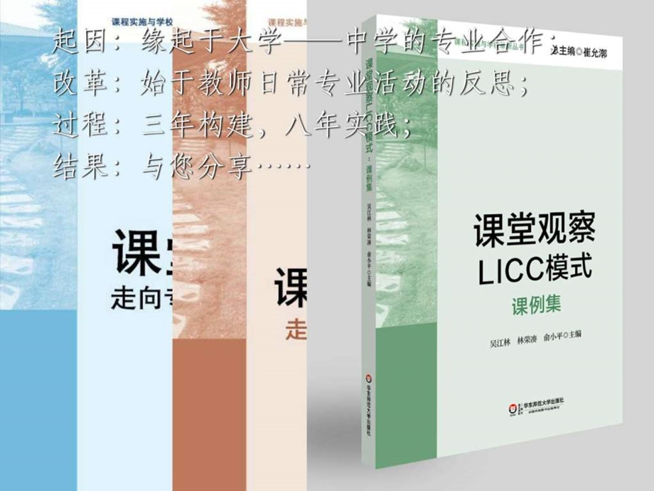 吴江林学术报告之课堂观察走向专业的听评课....ppt.ppt_第2页