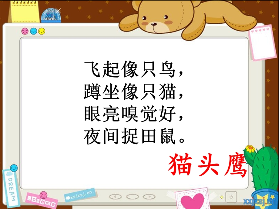 动物是我们的朋友.ppt_第2页