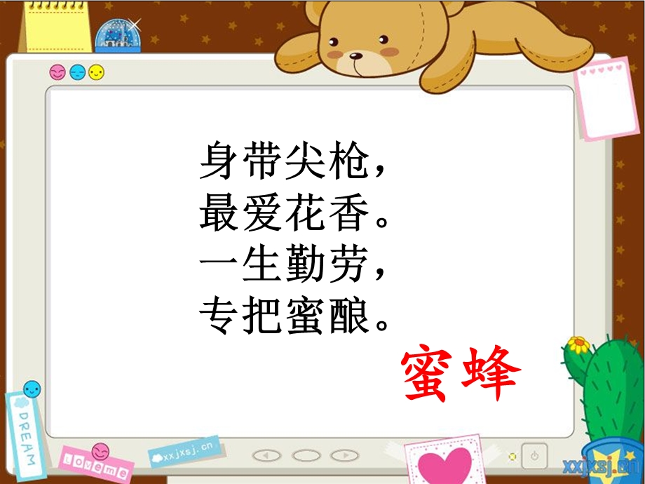 动物是我们的朋友.ppt_第3页