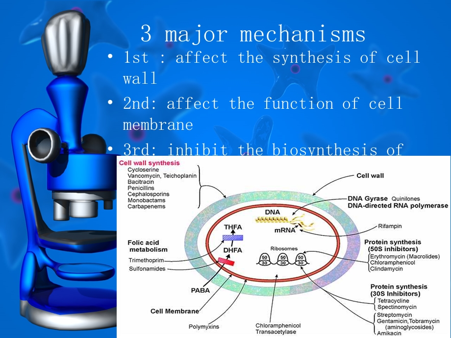 THE MECHANNISMS FOR THE ANTIBACTERIAL ACTIVITY OF ANTIBIOTICS.ppt_第2页