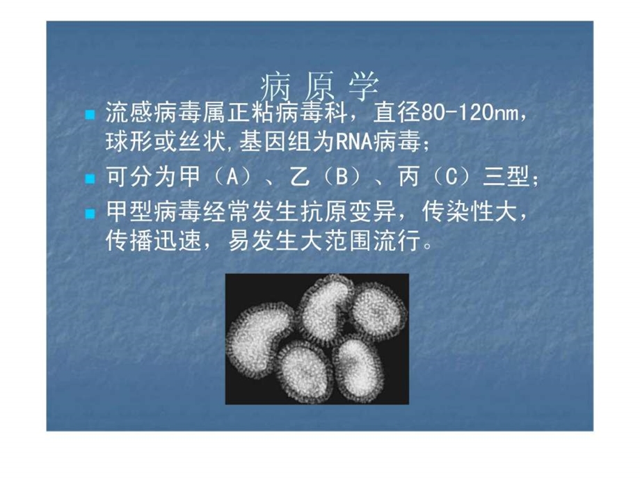 流行性感冒诊治现状图文.ppt.ppt_第3页