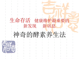 酵素演讲课件.ppt