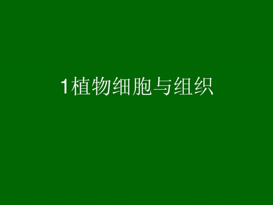 植物细胞与组织.ppt_第1页