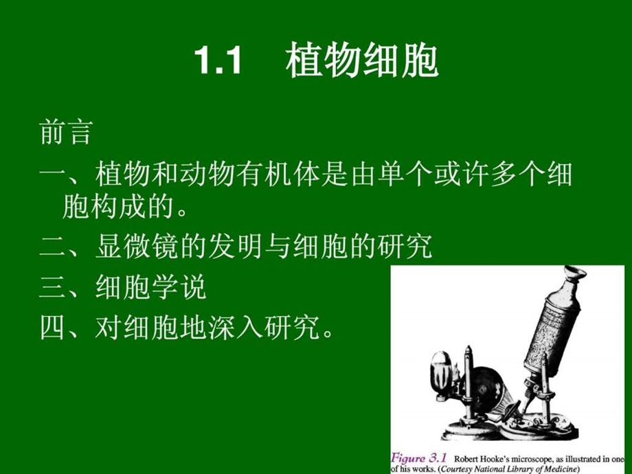 植物细胞与组织.ppt_第2页