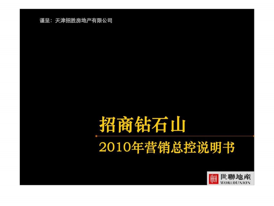 天津招商钻石山营销总控说明书.ppt_第1页