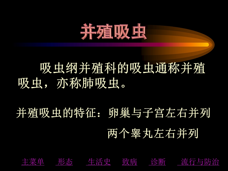 并殖吸虫血吸虫.ppt_第2页