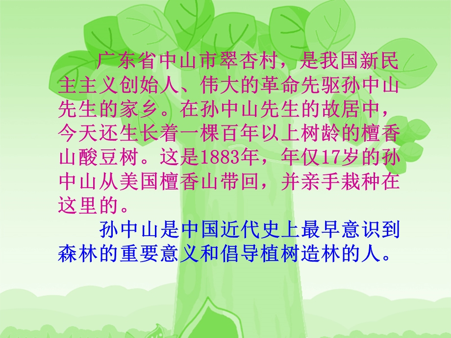 植树节主题班会[1].ppt_第3页