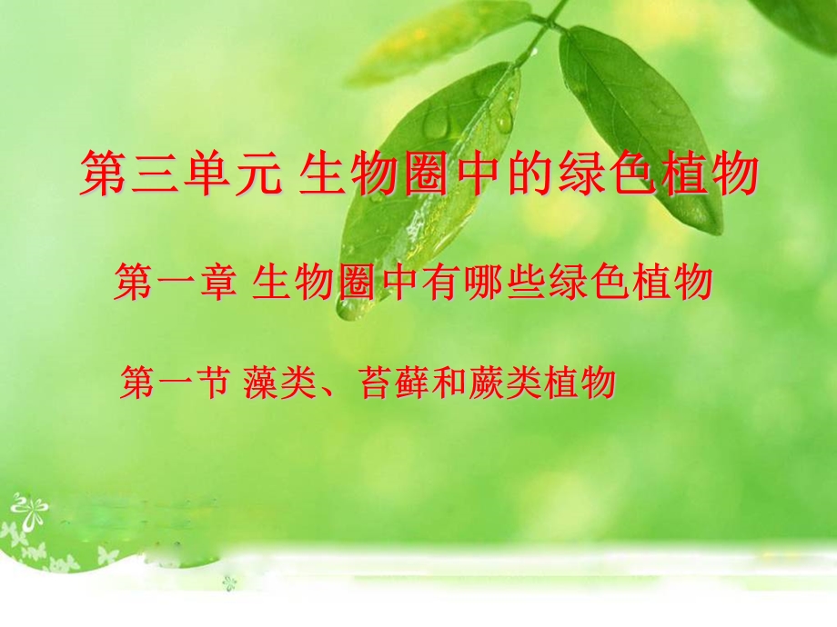 第一节藻类苔藓和蕨类植物精品教育.ppt_第1页