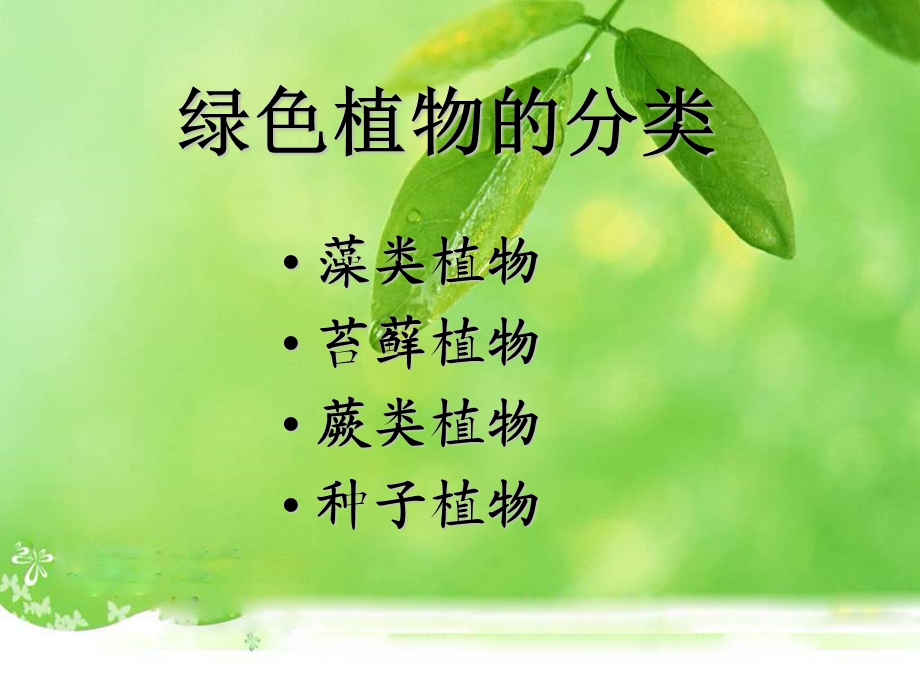 第一节藻类苔藓和蕨类植物精品教育.ppt_第2页