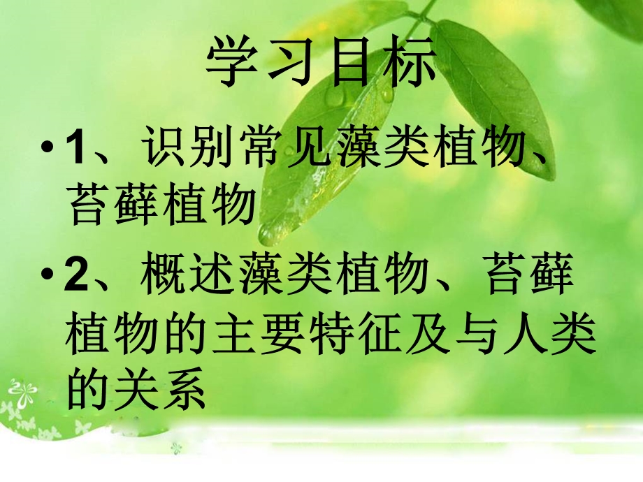 第一节藻类苔藓和蕨类植物精品教育.ppt_第3页