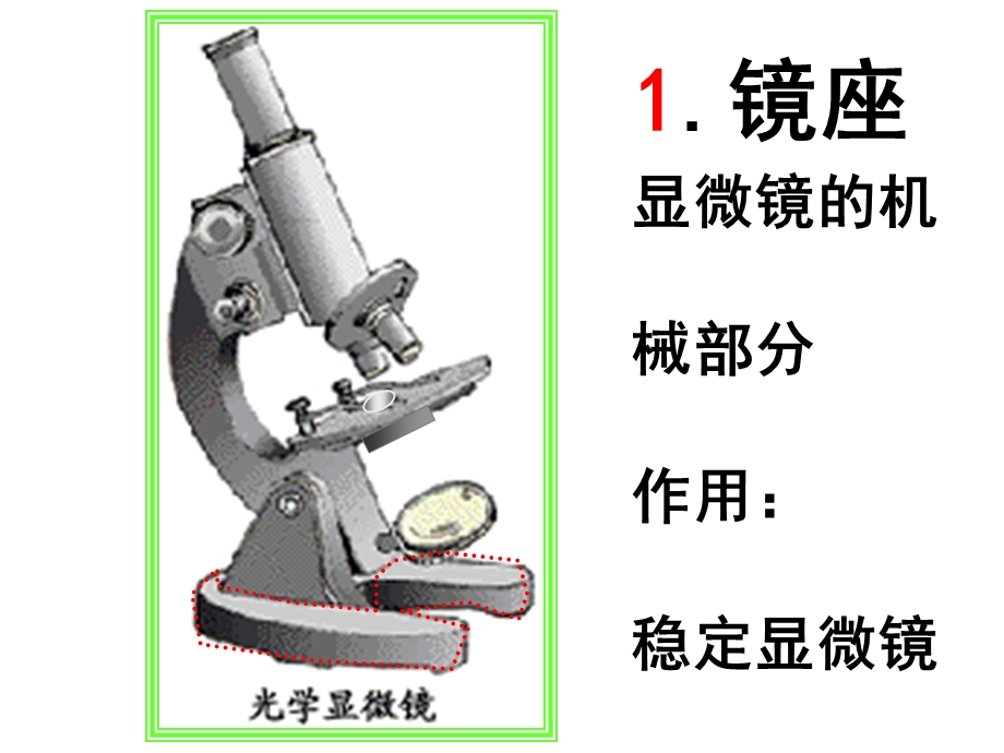 第一节练习使用显微镜 精品教育.ppt_第3页