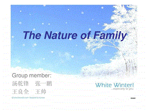 family关于家庭的PPT.ppt.ppt