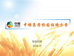 中粮校园招聘方案全案部分0913.ppt