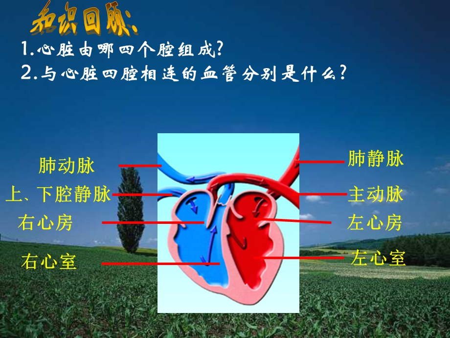 白银优质课竞赛课件.ppt_第3页