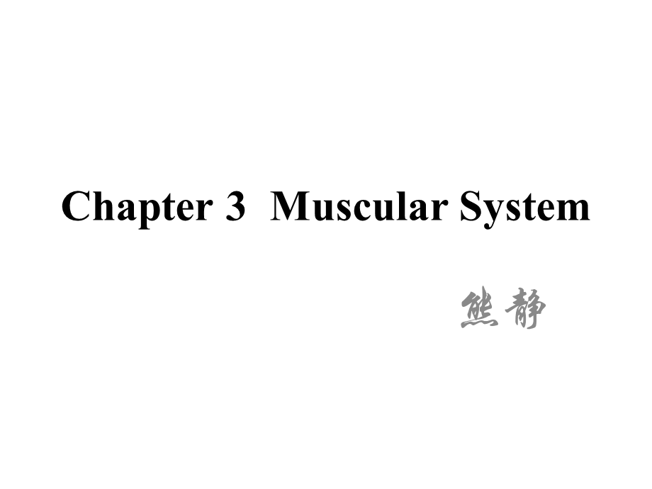 chapter3muscularsystem.ppt_第1页