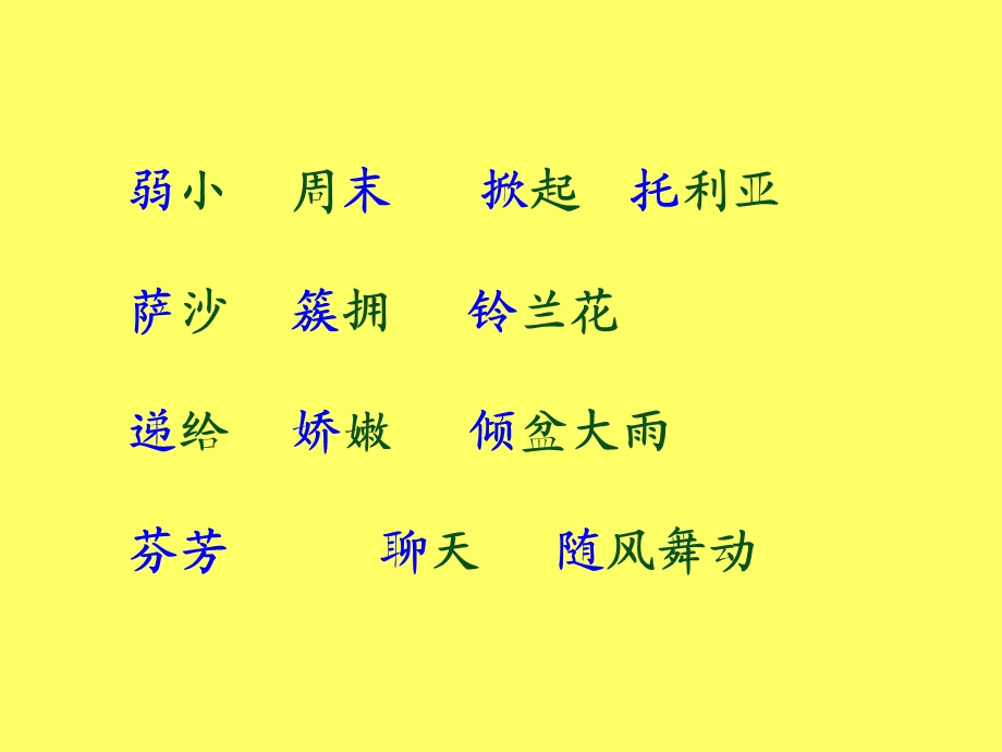 我不是最弱小的 (9).ppt_第3页