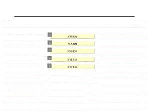 五大开发商地产战略.ppt