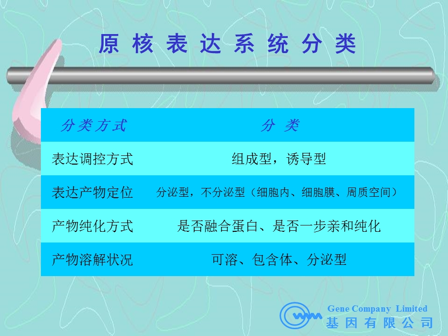 原核表达系统.ppt_第2页