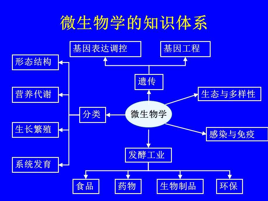 生物竞赛课辅导微生物学部分.ppt_第2页