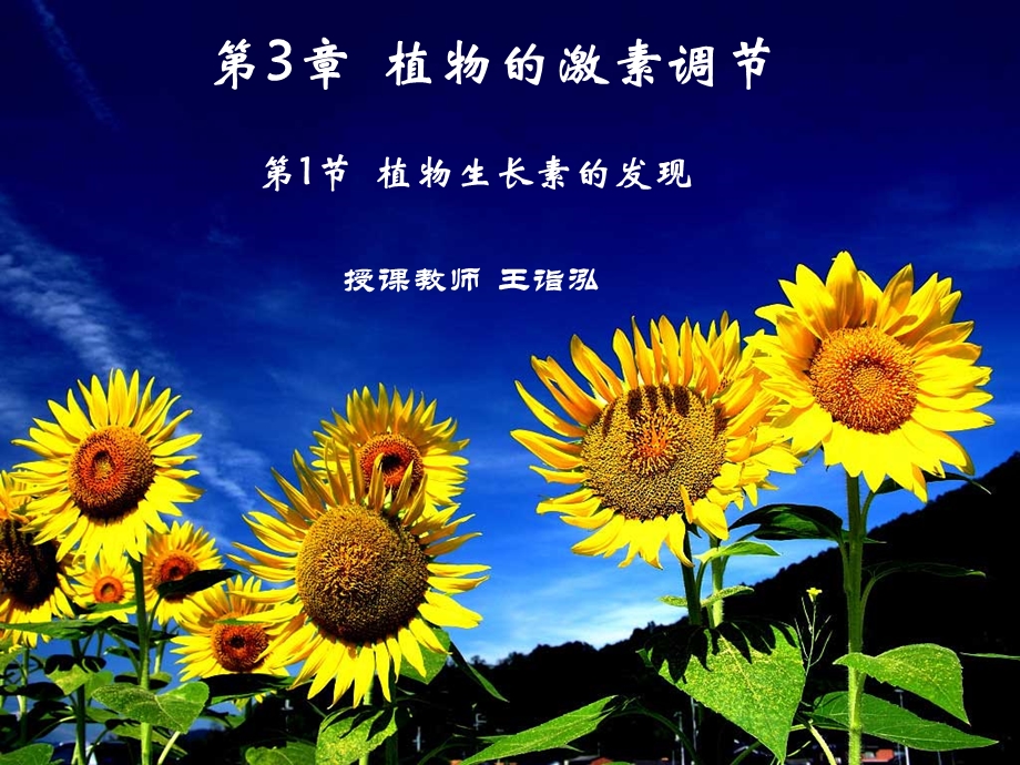 王诣泓市级观摩课件-.ppt_第2页