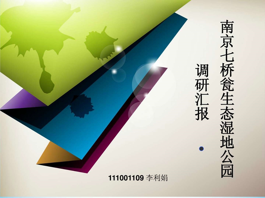 111001109规划.ppt_第1页