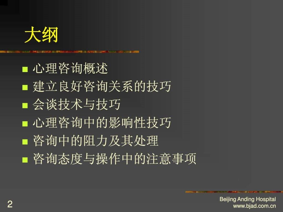 心理咨询的基本技法与注意事项.ppt_第2页