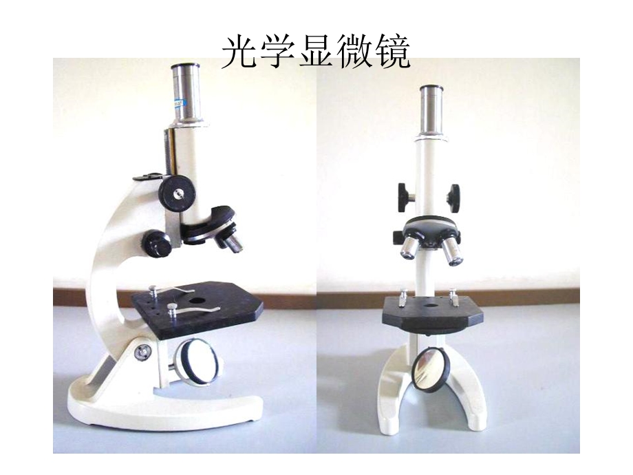 生物：211_练习使用显微镜_课件2(人教版七年级上).ppt_第2页