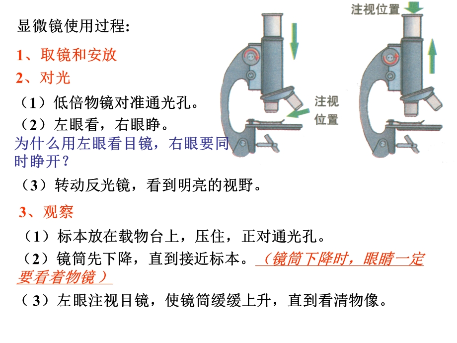 生物：211_练习使用显微镜_课件2(人教版七年级上).ppt_第3页