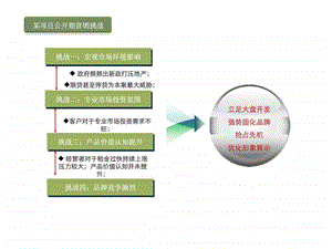 如何撰写公开期推广方案版下.ppt