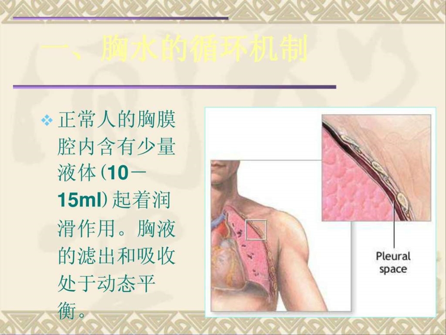 胸腔积液大讲课图文.ppt.ppt_第2页