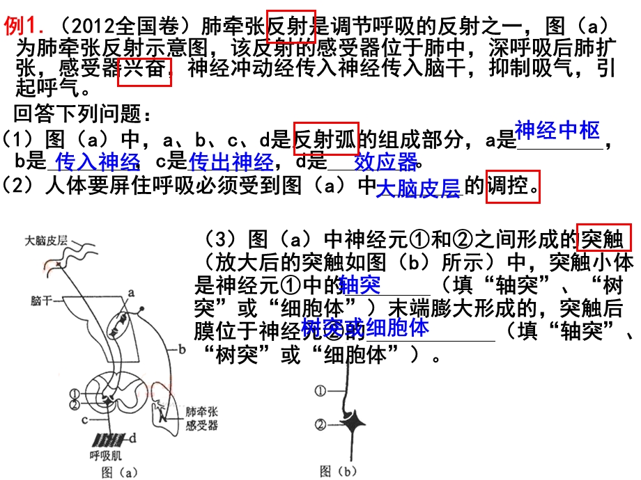 侯凤霞通过神经系统的调节第1课时.ppt_第2页