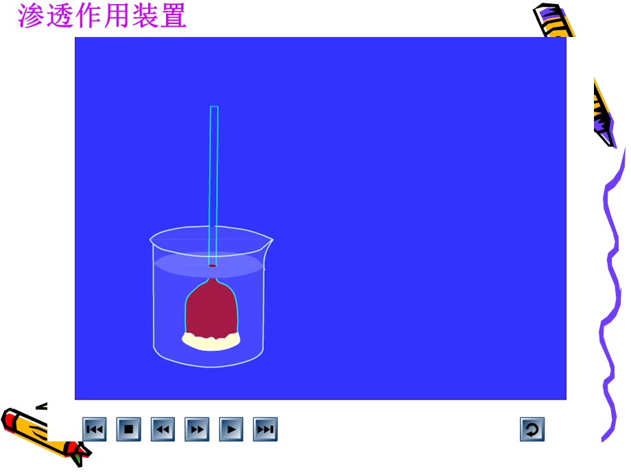 物质跨膜运输实例(flash).ppt_第3页