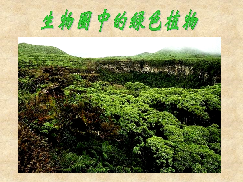 第一节藻类苔藓和蕨类植物课件精品教育.ppt_第1页