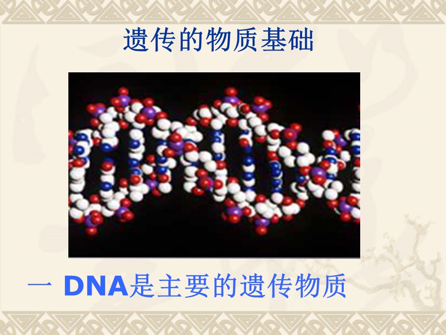 江西省赣县中学---DNA是主要的遗传物质.ppt_第2页