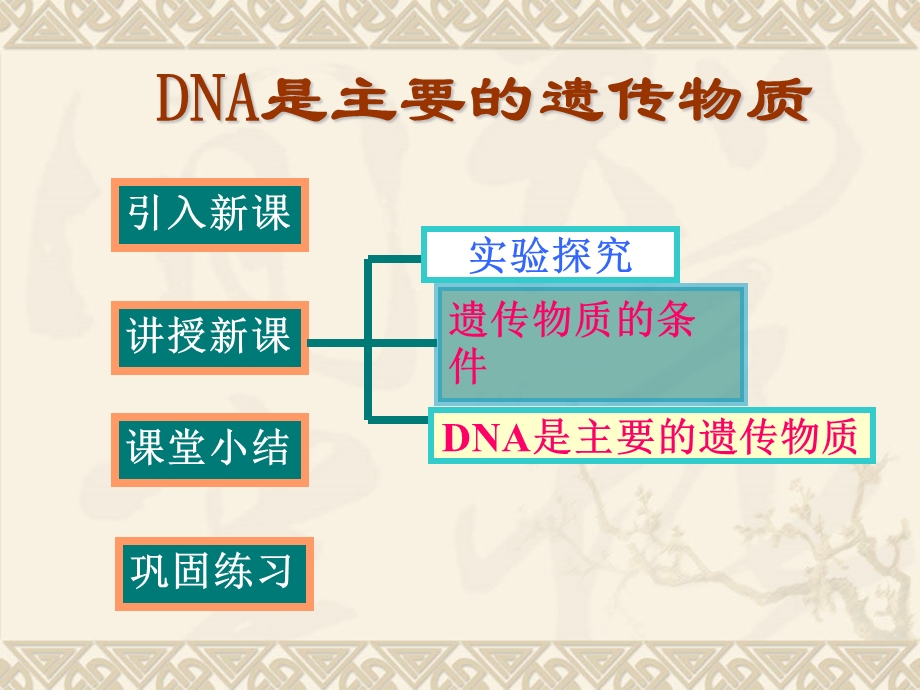 江西省赣县中学---DNA是主要的遗传物质.ppt_第3页