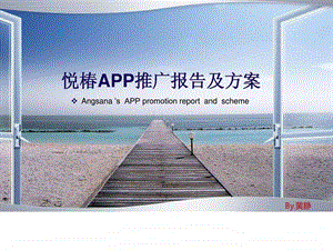 app推广报告及方案.ppt.ppt