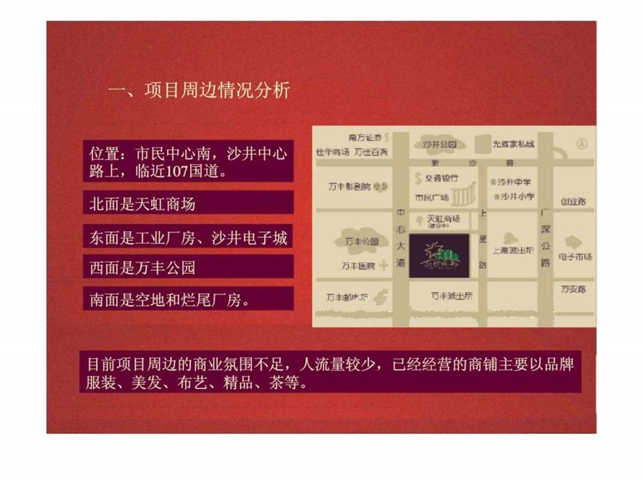 丽沙花都商业街营销策划.ppt_第2页