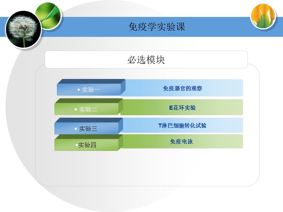 医学免疫学教学课件汇编19实验与pbl安排药学护理.ppt_第3页