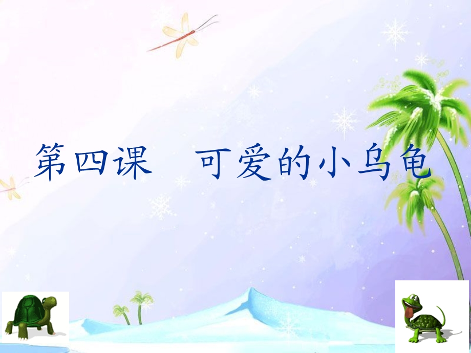 第四课可爱的小乌龟.ppt_第1页