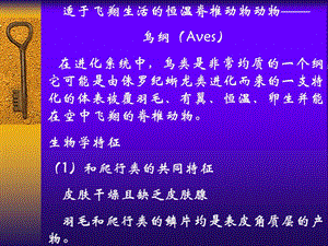 动物学14鸟纲Aves.ppt