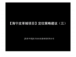 易居中国海宁皮革城项目定位策略建议三.ppt