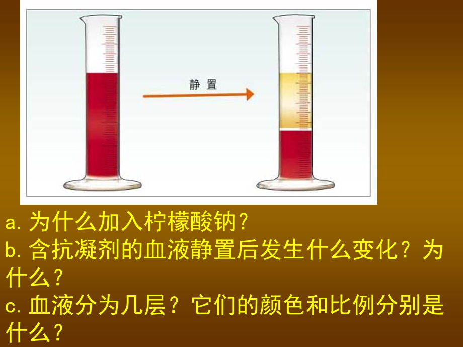 第9章人体内的物质运输.ppt_第3页